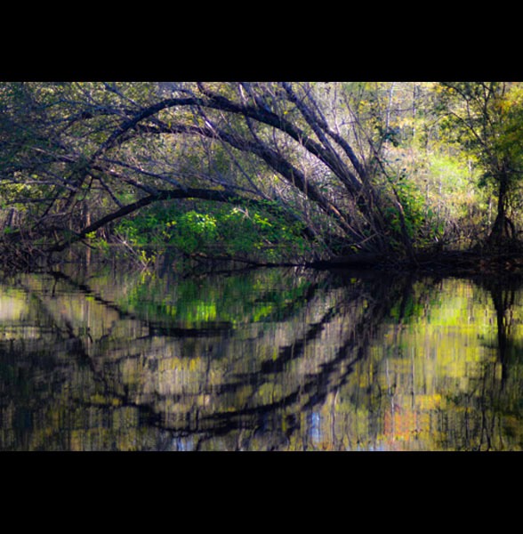 River Reflection